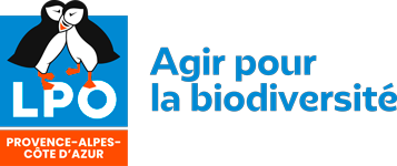 Vanessa  Atlas Biodiv'PACA - LPO Provence-Alpes-Côte d'Azur